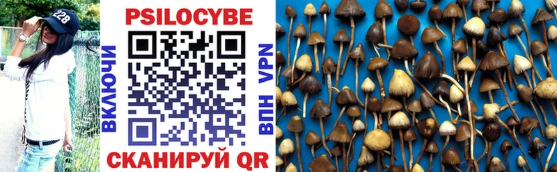 где купить Югорск Псилоцибиновые грибы Psilocybine cubensis